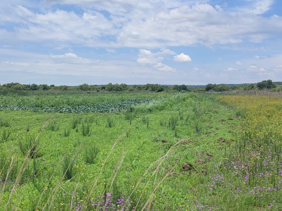 4 Bedroom Property for Sale in Swartruggens North West